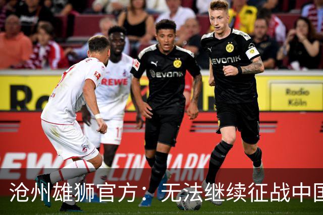 沧州雄狮官方：无法继续征战中国足球职业联赛